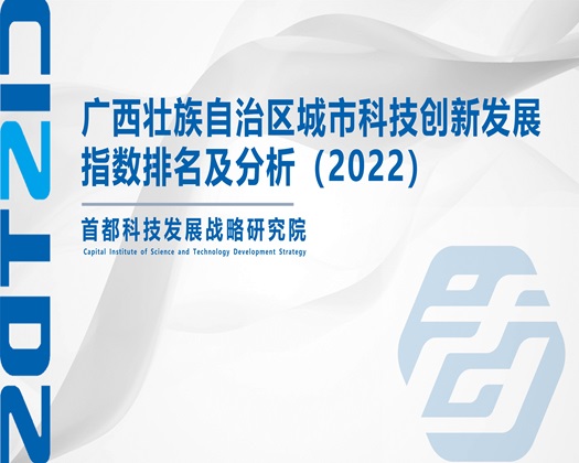 操东北美女逼电影【成果发布】广西壮族自治区城市科技创新发展指数排名及分析（2022）